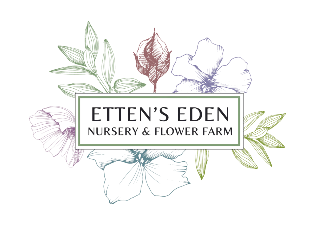 Etten's Eden Etten's Eden: Plant Nursery, Flower Farm & Florist